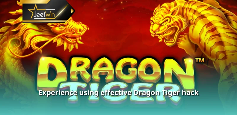 Experience using effective Dragon Tiger hack